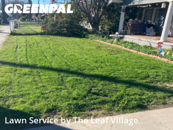 Work completed by lawn-care-experts-in-San Bernardino-CA
