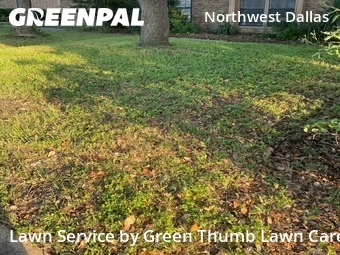 Yard Cutting nearby Dallas, TX, 