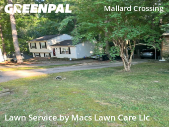 Grass Cut nearby Raleigh, NC, 