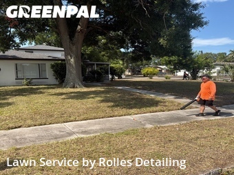 Grass Cutting nearby St. Petersburg, FL, 