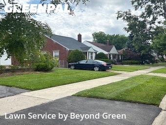 Lawn Mow nearby Allen Park, MI, 