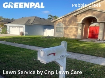Grass Cut nearby Tampa, FL, 