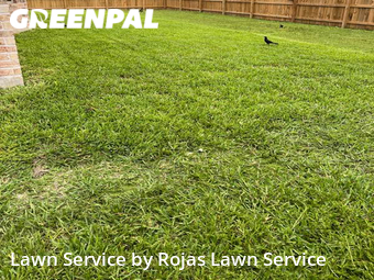Lawn Mowing Service nearby Harlingen, TX, 