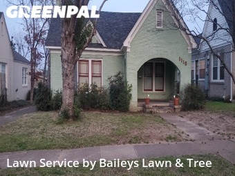 Grass Cutting nearby Tyler, TX, 