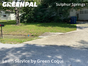 Grass Cutting nearby Tampa, FL, 