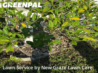 Lawn Mowing Service nearby Pinellas Park , FL, 
