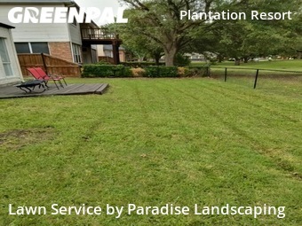 Yard Mowing nearby Frisco, TX, 