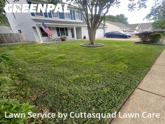 Lawn Care Service nearby Virginia Beach, VA, 