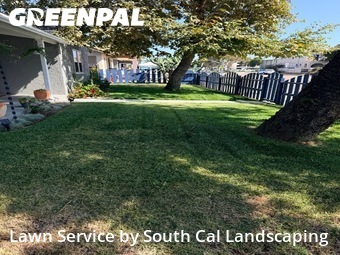 Lawn Cut nearby Chula Vista, CA, 