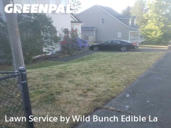 Lawn Care Service nearby Kent, WA, 