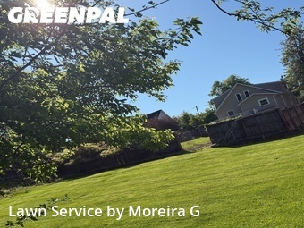 Grass Cutting nearby Towson, MD, 