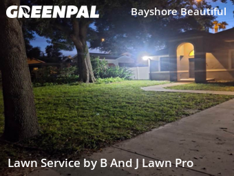 Lawn Care Service nearby Tampa, FL, 