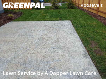 Yard Mowing nearby Bellingham, WA, 