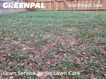 Grass Cuttingin Converse,78109,Lawn Cutting by Ws Lawn Care, work completed in Dec , 2025