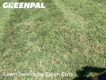 Yard Cutting nearby Walterhill, TN, 