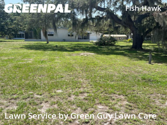 Yard Cutting nearby Lithia, FL, 