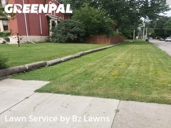 Yard Cutting nearby Rock Island, IL, 
