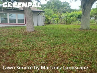 Lawn Mowing Service nearby Minneola, FL, 
