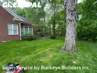 Grass Cut nearby Lewis Center, OH, 