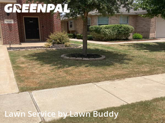 Grass Cut nearby Fort Worth, TX, 