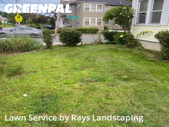 Lawn Cut nearby Watertown, MA, 