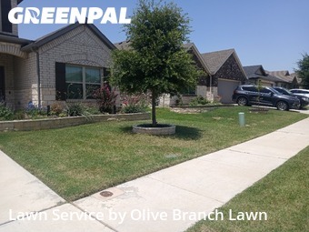 Lawn Mowing Servicein Fort Worth,76131,Grass Cut by Olive Branch Lawn, work completed in Jun , 2026