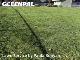 Yard Cutting nearby Papillion, NE, 