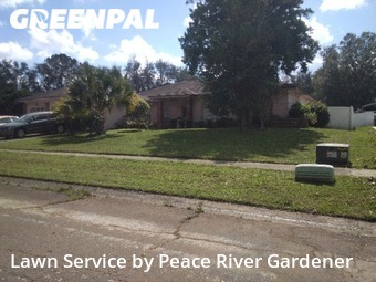 Grass Cutting nearby Brandon, FL, 