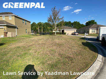 Grass Cut nearby Clermont, FL, 