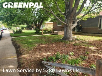 Lawn Mow nearby Longmont, CO, 