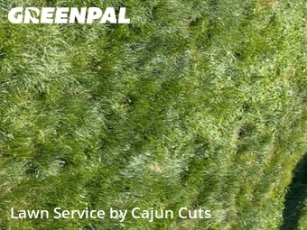 Lawn Care Service nearby Murfreesboro, TN, 