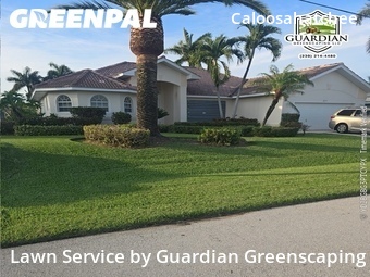 Lawn Mow nearby Cape Coral, FL, 