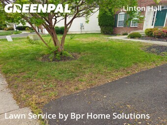 Yard Cutting nearby Gainesville, VA, 