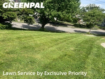 Lawn Care Service nearby Cincinnati, OH, 