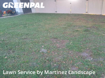 Grass Cutting in Leesburg, 34788, Grass Services by Martinez Landscape, work completed in Dec , 2025