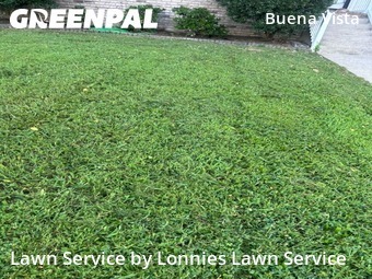 Lawn Mow nearby Nashville, TN, 