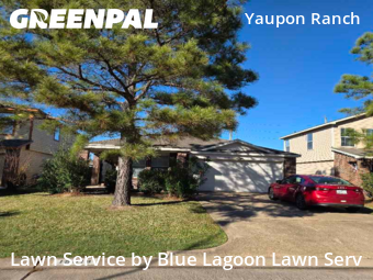 Grass Cuttingin Cypress,77433,Lawn Maintenance by Blue Lagoon Lawn Serv, work completed in Feb , 2026