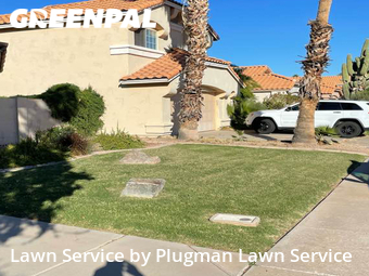 Grass Cut nearby Chandler, AZ, 