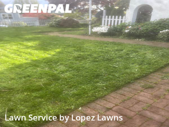 Lawn Mowing nearby Seattle, WA, 