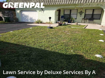 Yard Mowing in Tamarac, 33321, Lawn Upkeep by Deluxe Services By A, work completed in Nov , 2025