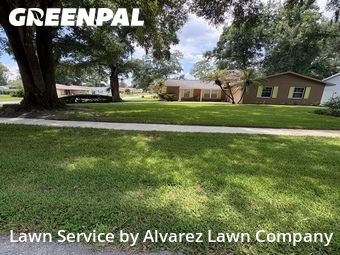 Lawn Servicein Altamonte Springs,32714,Grass Cut by Alvarez Lawn Company, work completed in Jul , 2026