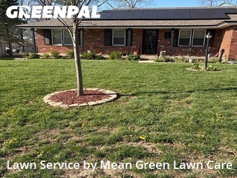 Grass Cutting nearby Blue Springs, MO, 