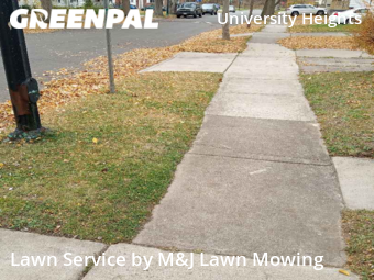 Grass Cut nearby Buffalo, NY, 