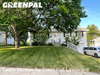 Yard Cutting nearby Omaha, NE, 