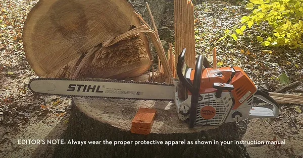 Woodstock Mower & Chainsaw Photo 7
