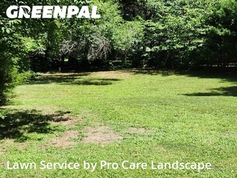 Lawn Mowin Concord,28025,Yard Mowing by Pro Care Landscape , work completed in Jul , 2026