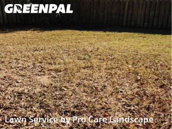 Lawn Cut nearby Indian Trail, NC, 