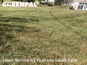Grass Cut nearby Knoxville, TN, 