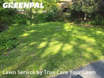 Lawn Service nearby Newark, DE, 