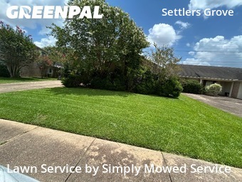 Yard Cutting nearby Sugar Land, TX, 